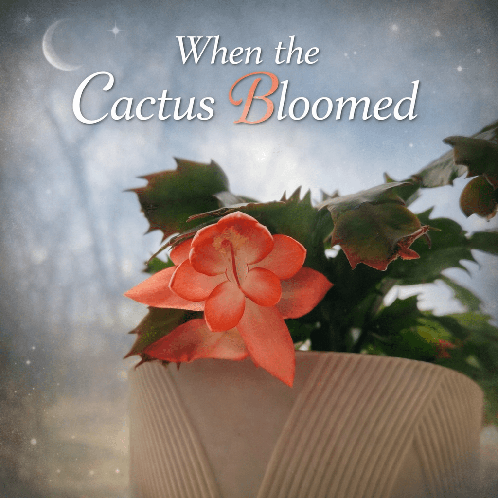 When the Cactus Bloomed&nbsp;🌺🤍🌒